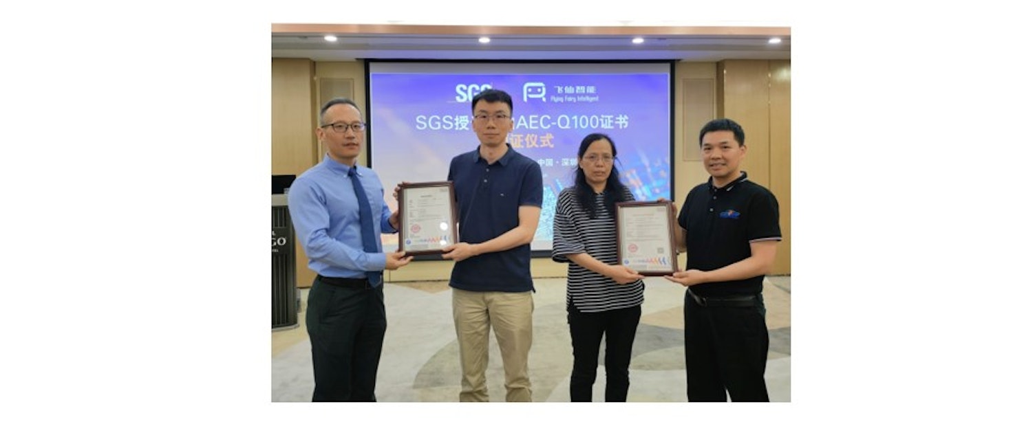 Flying Fairy group image